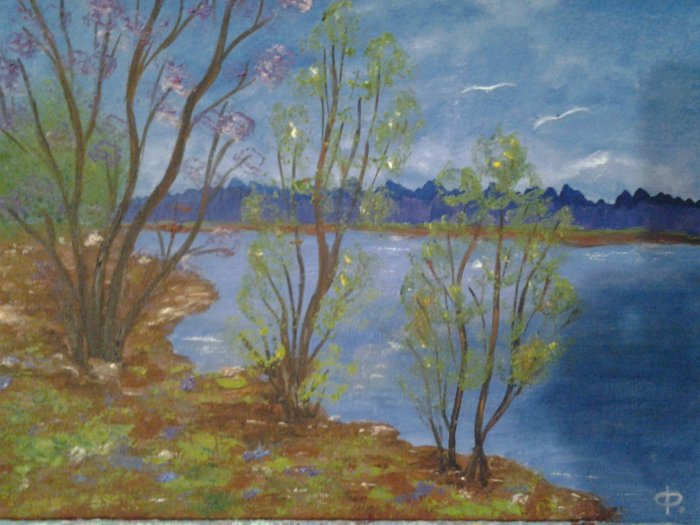 Весенние разливы.jpg