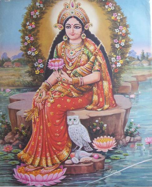 Laksmi with Owl.jpg