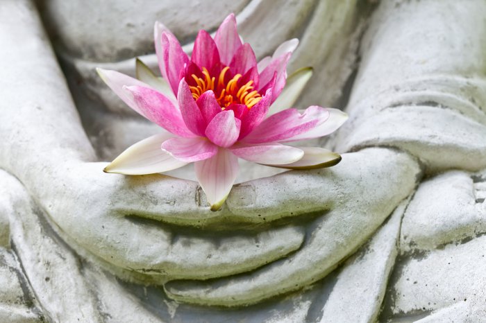 bigstock-Buddha-hands-holding-flower-47788762.jpg