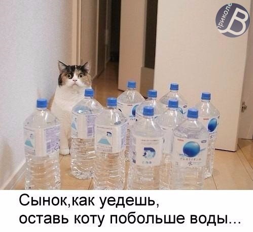 OLXxu9-nDYo.jpg