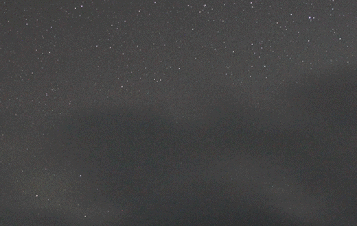 леонард 8.12.2021.gif