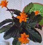 20260325_072958.jpg