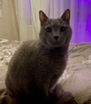 Screenshot_3.png Screenshot_3.png