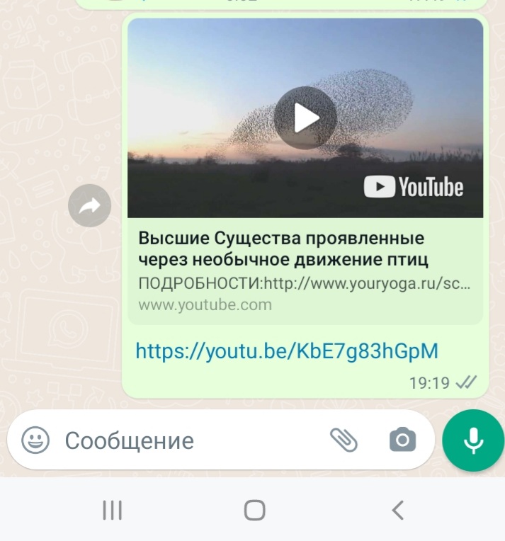 Screenshot_20220901-192119_WhatsApp.jpg
