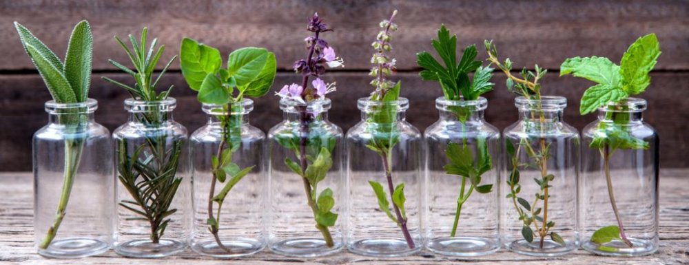 essential-oil-img-1024x394.jpg