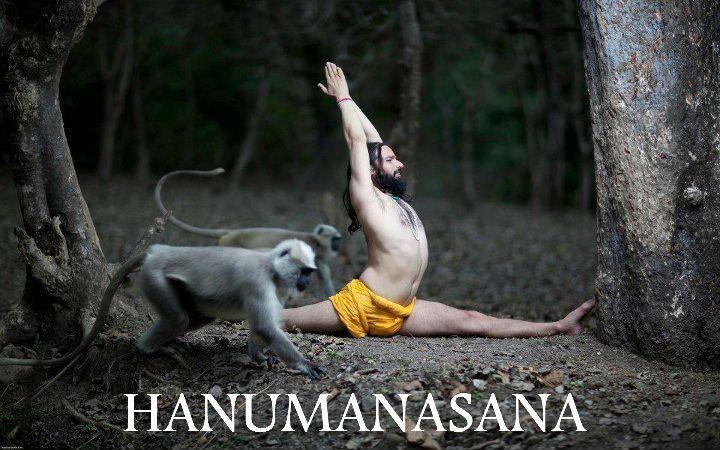 Hanumanasana jpg.jpg