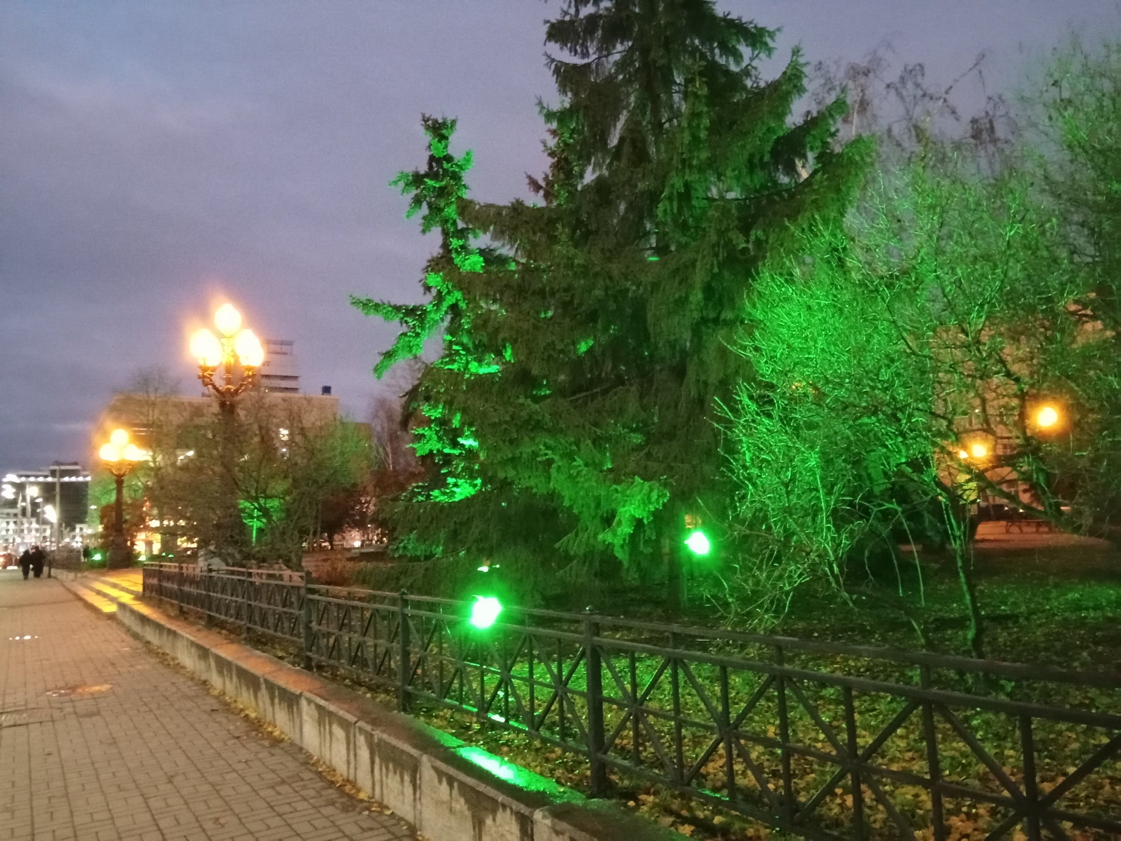 IMG20241110161821.jpg