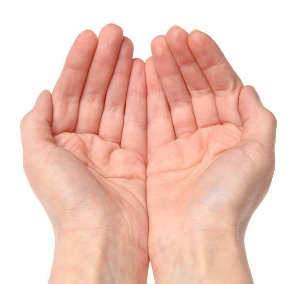 istockphoto-182758880-612x612.jpg